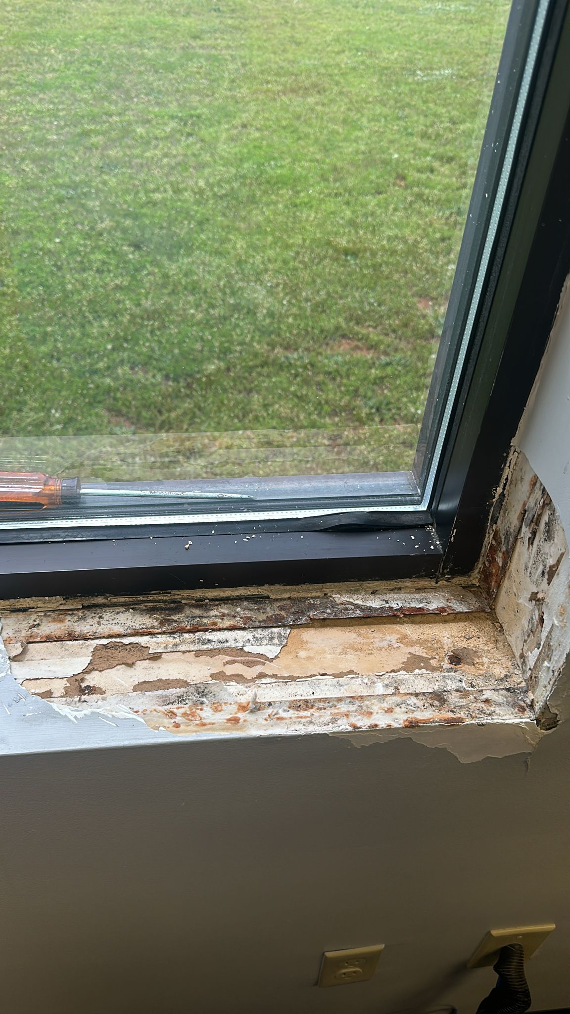 How a Window Leak Cause Serious Water Damage to Your Walls