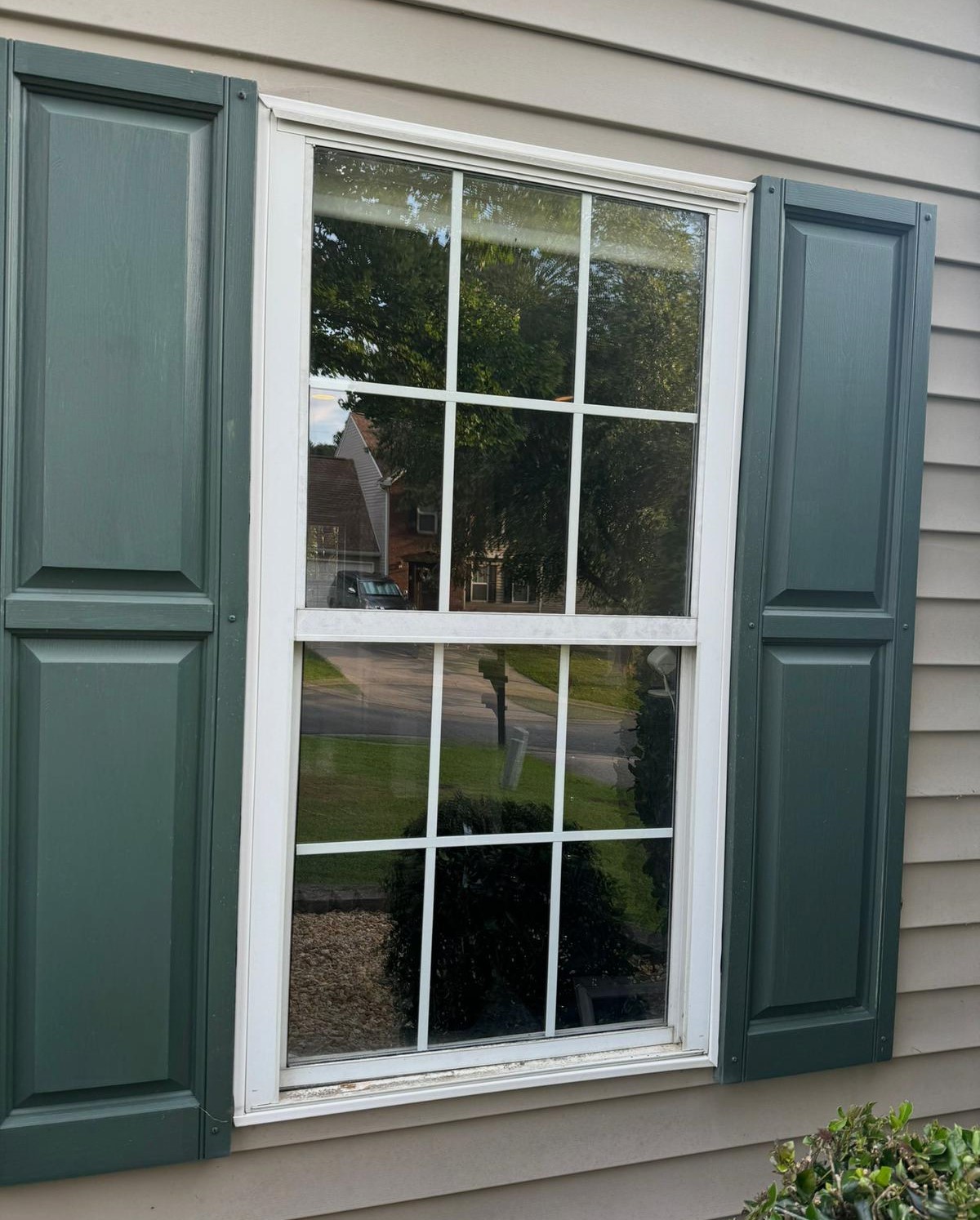 Insulated Glass Repair