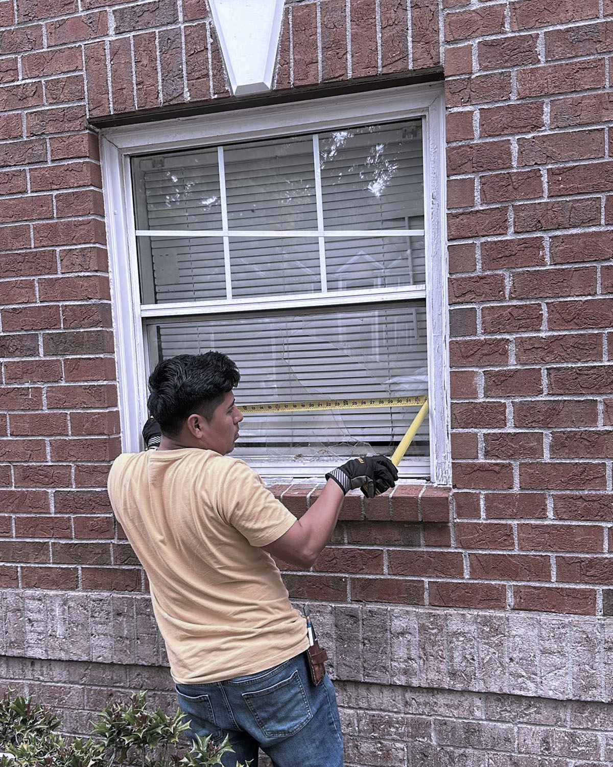 Window Glass And Door Installation
